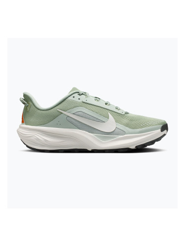 Мъжки обувки за бягане Nike ACG Pegasus Trail jade horizon/light silver/phantom