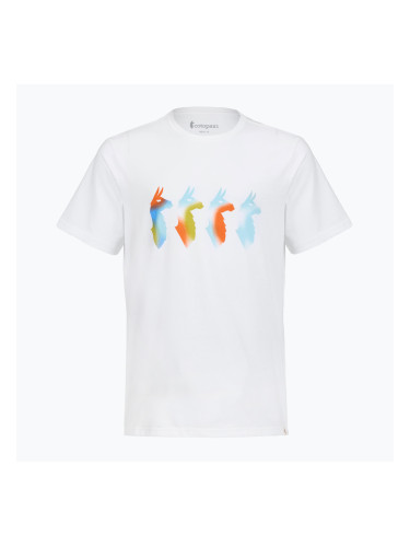 Мъжка тениска Cotopaxi Cuatro Bitmap white