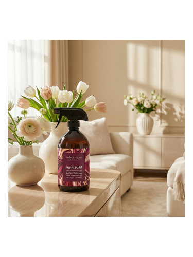 Професионален почистващ крем за мебели с парфюм Barwa Perfect House Furniture
