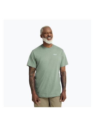Мъжка тениска Jack Wolfskin Essential green zinnia
