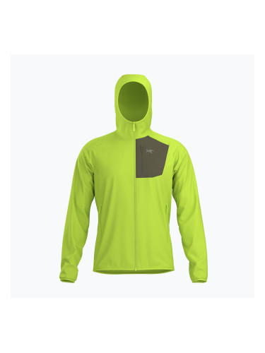Мъжки поларен суитшърт Arcteryx Delta Hoody mantis/tatsu