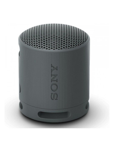Блутут колони Sony SRSXB100B Черен