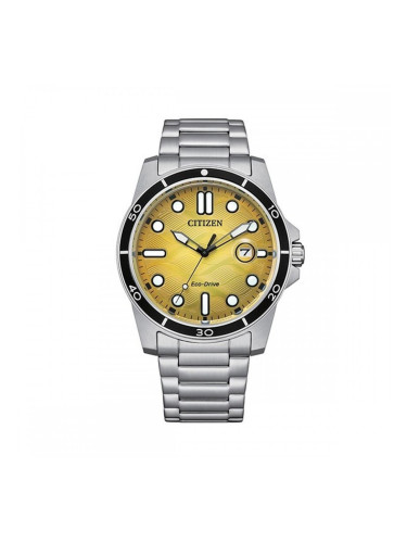 Мъжки часовник Citizen MARINE 1810 Жълт Сребрист