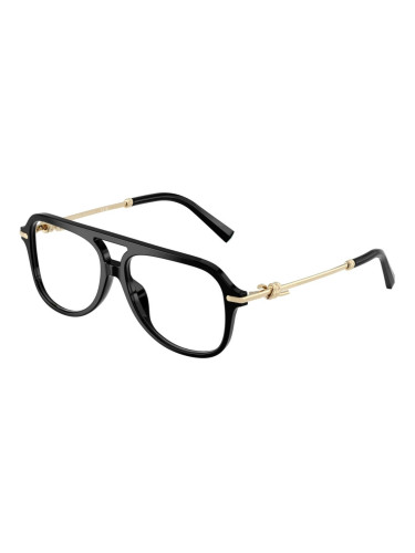 TIFFANY & CO. TF2283 - 8001