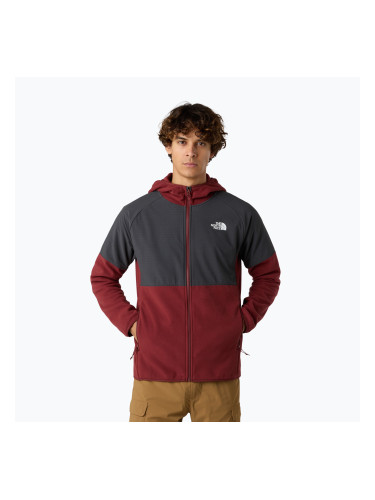 Мъжки суитшърт The North Face Glacier Heavyweight Full Zip HD sumac/asphalt grey