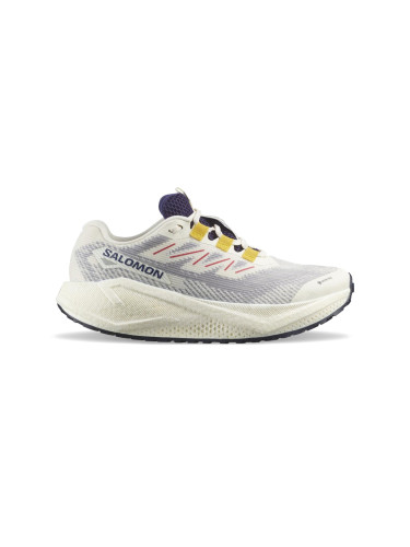 Salomon Aero Blaze 3 GRVL GTX Offwhite Мъже - Спортни обувки Salomon - Offwhite - L47953200-10 - Size: 10