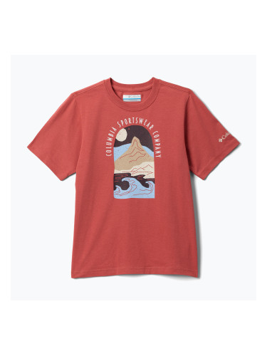 Детска тениска Columbia Valley Creek II Graphic washed red/cosy coastline