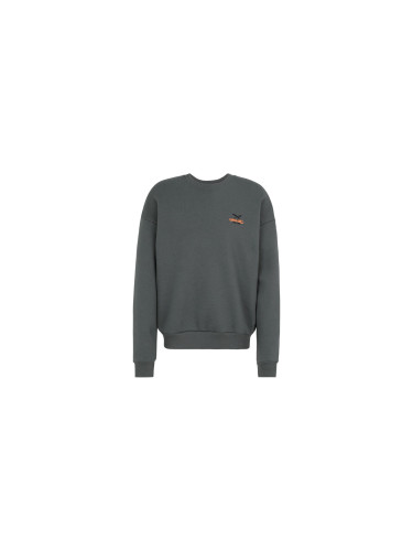 Iriedaily Stohead Upper 36 Sweater Мъже - Суитшърти и блузи с качулка IrieDaily - Сив - 216B422-464-L - Size: L
