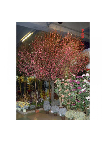 Растения Natural Touch >> ICNT 16439