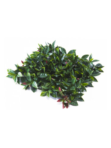 Растения GREEN WALL >> ICNT 185050