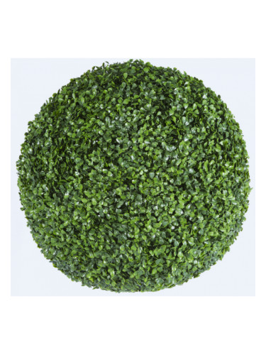 Растения GREEN NATURE>> ICNT 190039