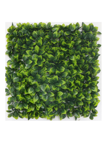 Растения GREEN WALL >> ICNT 125050