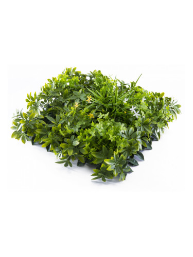 Растения GREEN WALL >> ICNT 135050