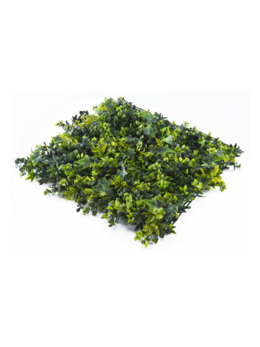 Растения GREEN WALL >> ICNT 145050