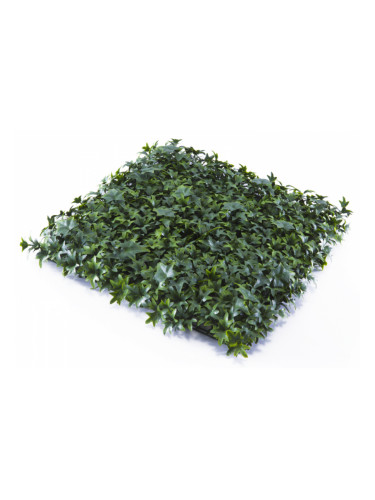 Растения GREEN WALL >> ICNT 165050