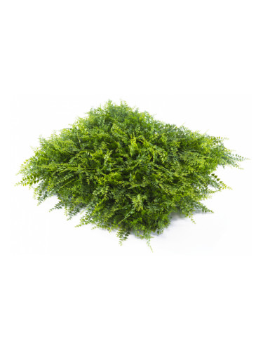 Растения GREEN WALL >> ICNT 175050