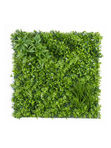 Растения GREEN WALL >> ICNT 19100100