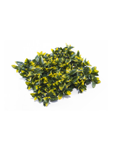 Растения GREEN WALL >> ICNT 195050
