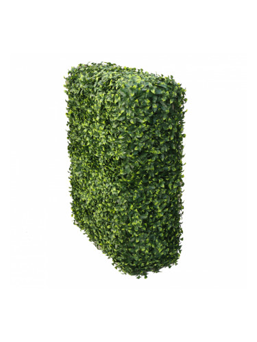 Растения GREEN WALL >> ICNT 197525