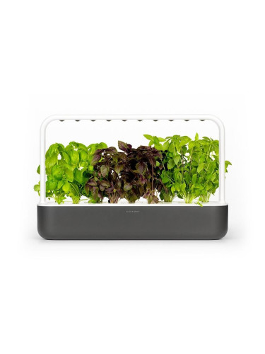 Смарт Саксия Click and Grow Smart Garden 9, Сива