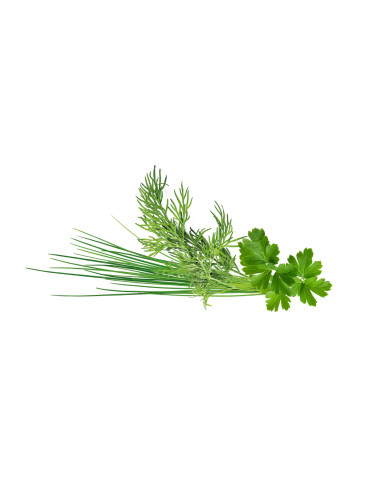 Семена Click and Grow Микс зелени подправки, 9 броя