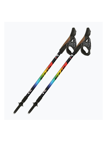 Щеки за скандинавско ходене Fizan Speed Junior rainbow