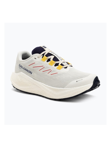 Мъжки обувки за бягане Salomon Aero Blaze 3 Gravel GTX vanilla ice/astral aura/lemon