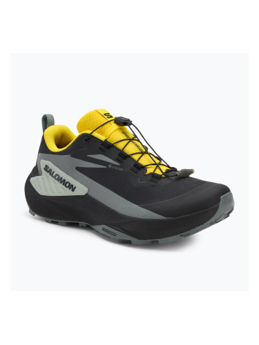 Мъжки обувки за бягане Salomon Genesis GTX black/sedona sage/incaberry