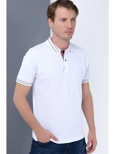 T8567 DEWBERRY