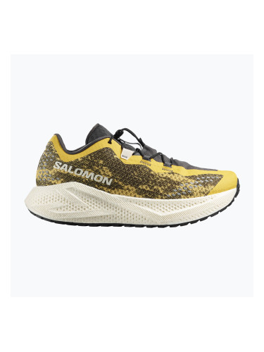 Мъжки обувки за бягане Salomon Aero Glide 4 GRVL beach ball/asphalt/vanilla ice
