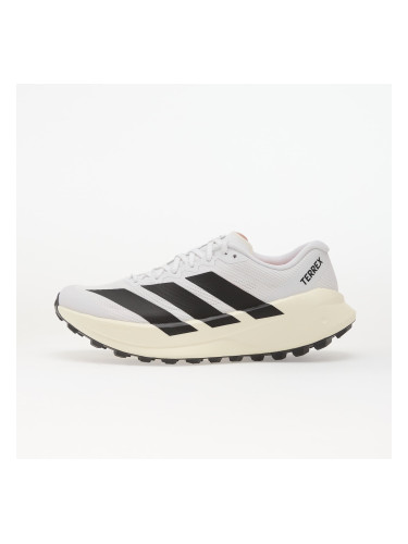 Сникърси adidas Terrex Agravic Sl Trail Running Ftwr White/ Core Black/ Ftwr White EUR 46 2/3