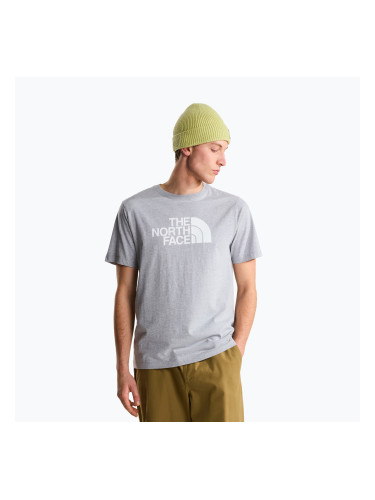 Мъжка тениска The North Face Evolution Half Dome tnf pale grey heather