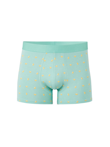 Мъжки боксерки Celio Libocitrus