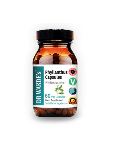 Филантус (Phyllanthus) - при заболявания на черния дроб и далака, подагра, 60 капсули