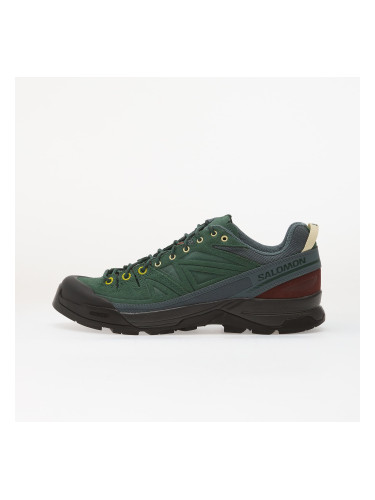Сникърси Salomon X-alp LTR Bistro Green/ Stormw/ Black EUR 41 1/3