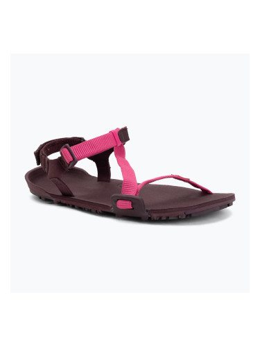 Дамски сандали barefoot Xero Shoes Z-Trail EV fuchsia purple