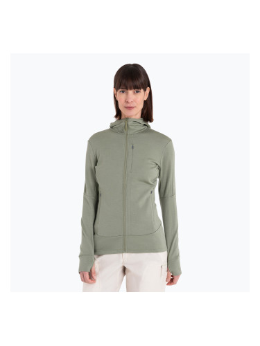 Icebreaker дамско яке за трекинг Merino 260 Quantum IV Zip Hoodie lichen