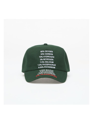 Шапка PLEASURES Atmosphere Snapback Forest Universal