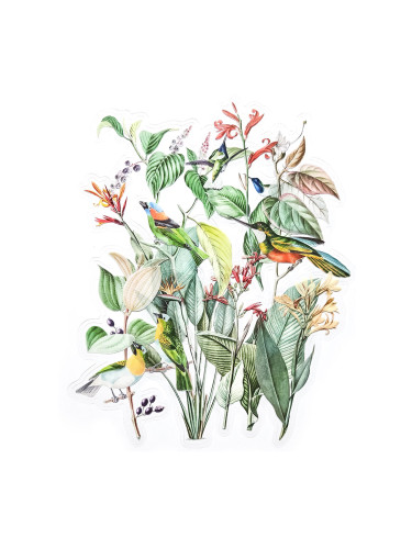 Прозрачни стикери Exotic Garden 12бр
