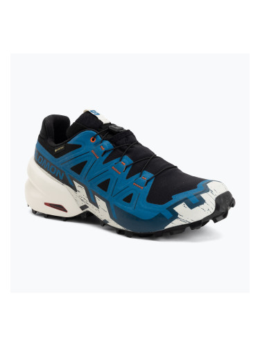 Мъжки обувки за бягане  Salomon Speedcross 6 GTX black/mykonos blue