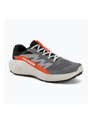 Мъжки обувки за бягане  Salomon Alphaglide GTX castlerock/lunar rock