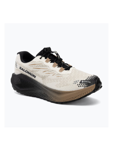 Дамски обувки за бягане Salomon Aero Blaze 4 GRVL GTX vanilla ice/black
