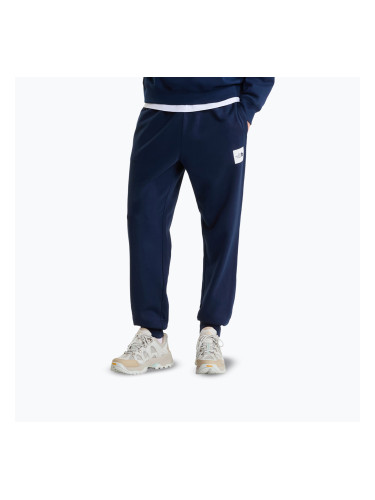 Мъжки панталони за бягане The North Face Evo Box Half Dome Regular Tappered summit navy