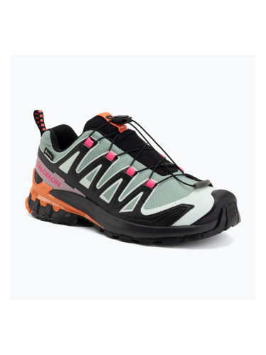 Дамски обувки за бягане Salomon XA Pro 3D V9 GTX Icon black/green milieu