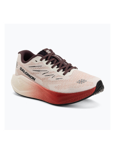 Дамски обувки за бягане Salomon Aero Blaze 4 vanilla ice/huckleberry