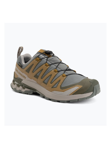 Мъжки обувки за бягане  Salomon XA Pro 3D V9 GTX sedona sage/brilliant olive