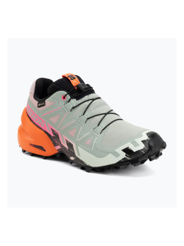 Дамски обувки за бягане Salomon Speedcross 6 GTX Icon black/green milieu