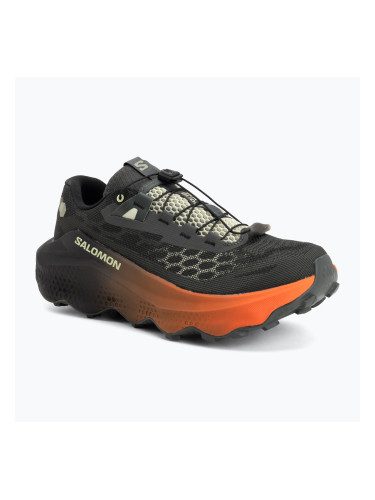 Мъжки обувки за бягане  Salomon Ultra Glide 4 urban chic/black