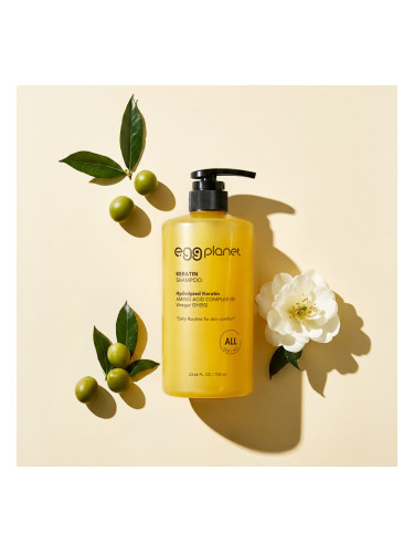 Възстановяващ шампоан с кератин за увредена коса Doori Egg Planet Keratin Shampoo