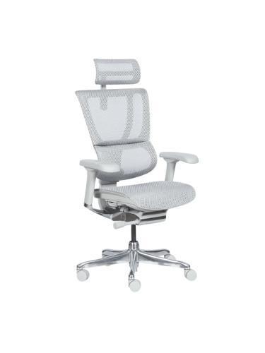 Ергономичен стол ERGOHUMAN IOO ELITE 2 - сива рамка - сив